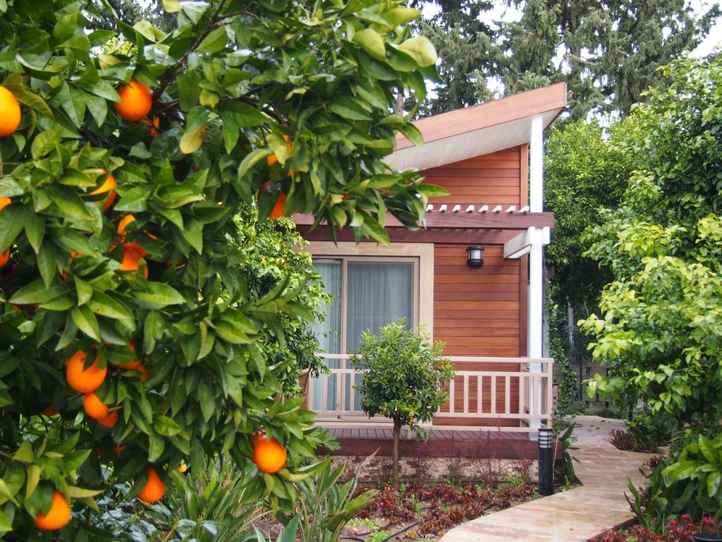 Kimera Lounge Boutique Hotel & Spa Cirali Exterior photo