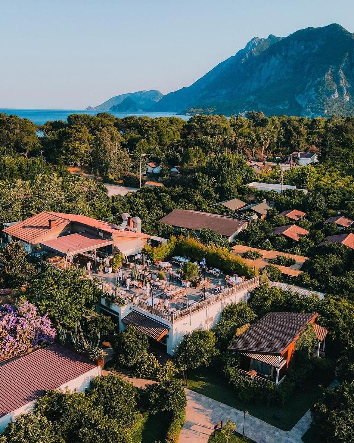 Kimera Lounge Boutique Hotel & Spa Cirali Exterior photo